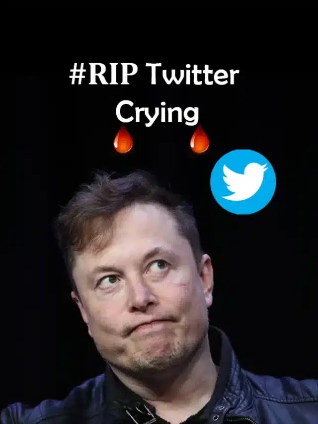 #RIP Twitter Trends seen after 7500 employees fired by Musk.